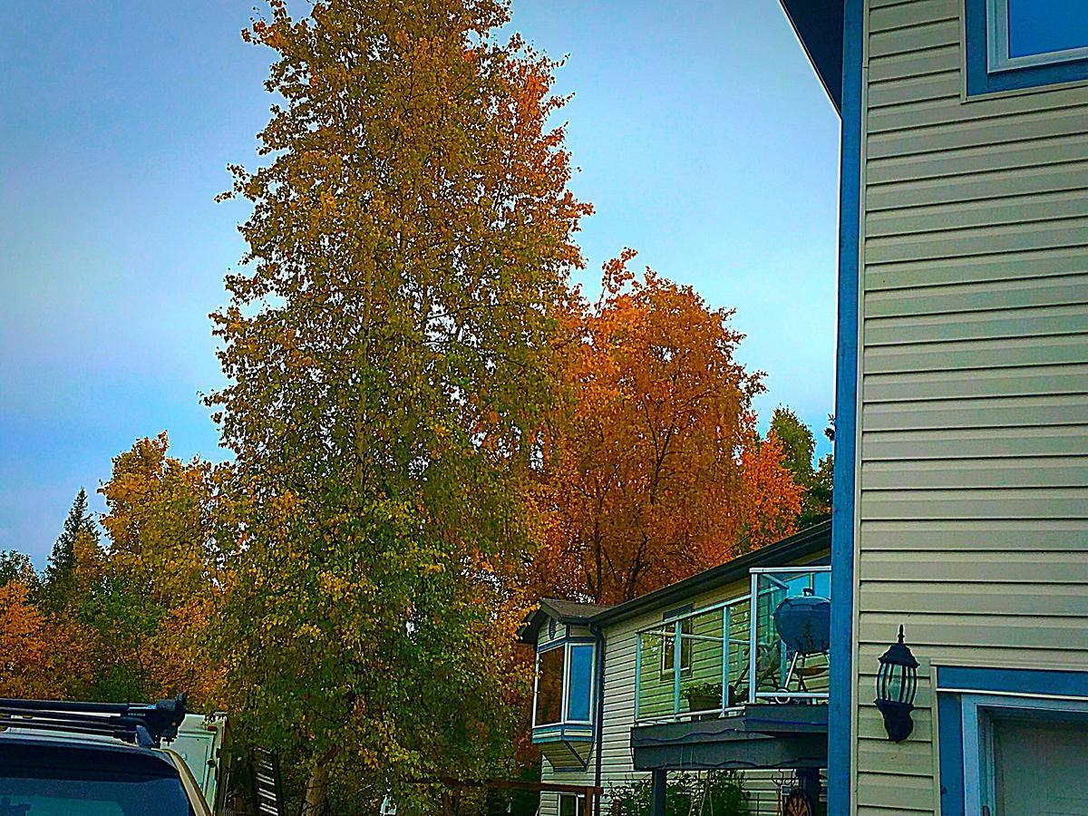 Mabuhay Lakeside Manor Bed & Breakfast Yellowknife Eksteriør bilde